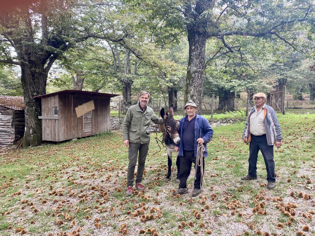 Ascolti record per Linea Verde, Beppe Convertini arriva a Paestum